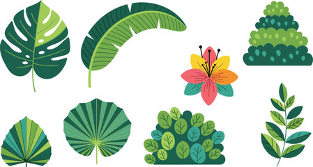 Tropical leaves and plants vector set featuring monstera banana palm foliage and flowers for nature botanical design illustrations © MdAbuSayed