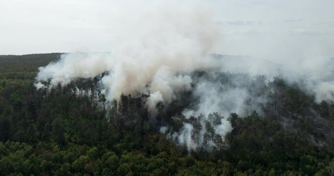 
Close up dynamic motion shot forest fire smoke rising environment climate change nature disaster environmental catastrophe. Burning trees wood landscape carbon footprint air pollution ecological cris