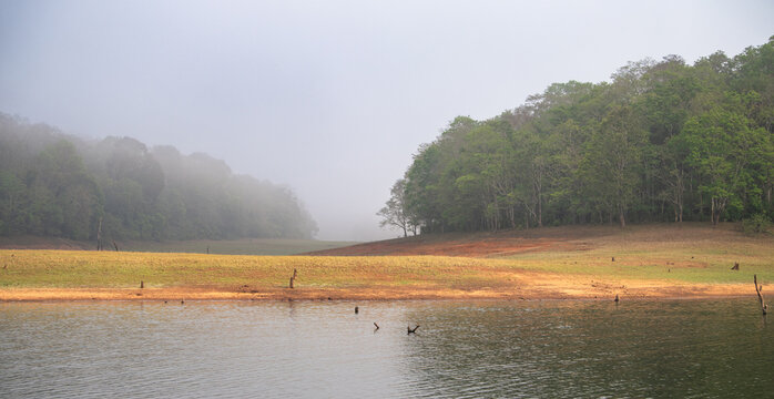Periyar National Park in India, lake with forest, fog in the morning, wildlife Sanctuary, Idukki and Pathanamthitta in Kerala, watershed Pamba