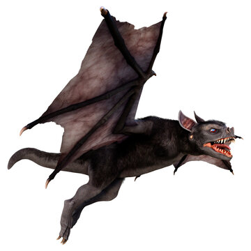 3D Rendering Giant Bat on White