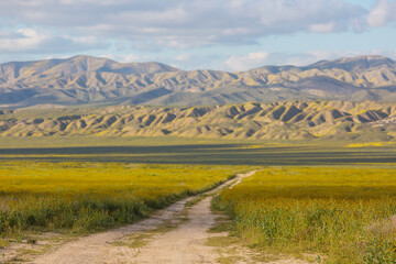 Obraz premium Carrizo