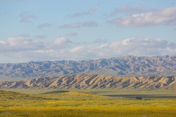 Obraz premium Carrizo