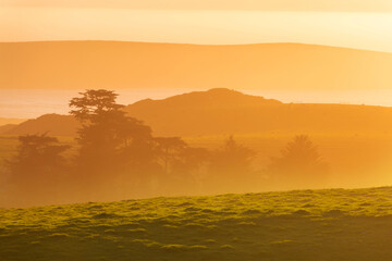 Obraz premium Foggy meadow