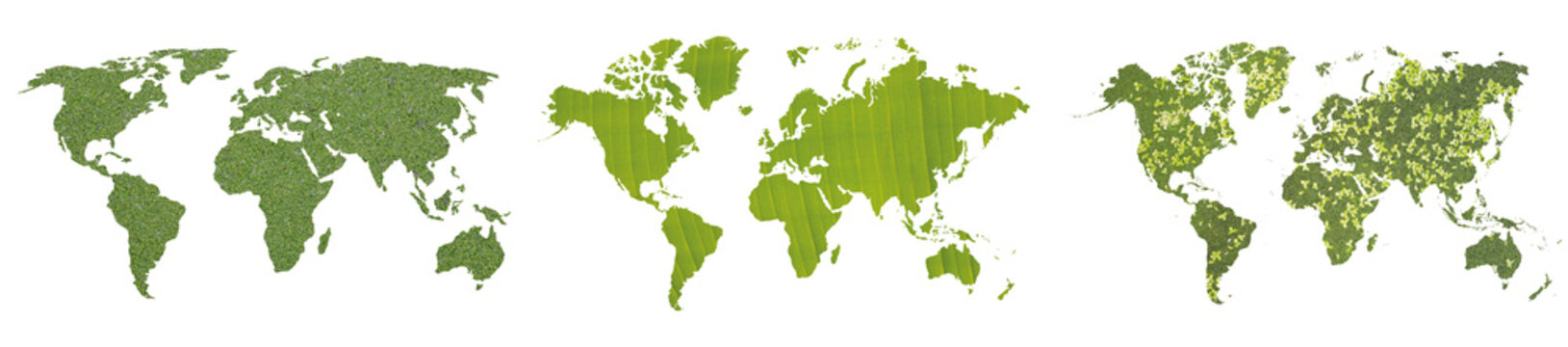 Eco world map set with green grass and leaf textures, sustainable earth concept icons, natural foliage pattern world silhouettes