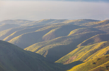 Obraz premium Green hills