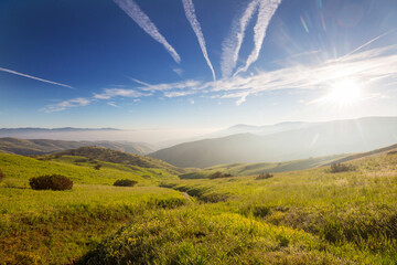 Obraz premium Green hills