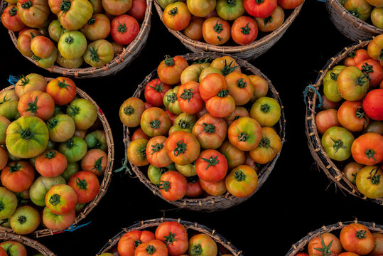View of vibrant red, orange, and green tomatoes overflowing from woven baskets create a colorful tapestry of fresh produce, Sylhet, Sylhet Division, Bangladesh.