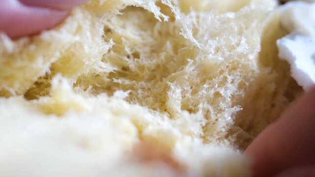 porous structure of bread texture, captured through a microscope objective 