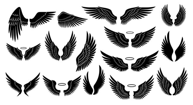 Wings set with black angel wings and halos, feathered illustrations featuring feathers, wing designs, graphic resource with icons and clipart