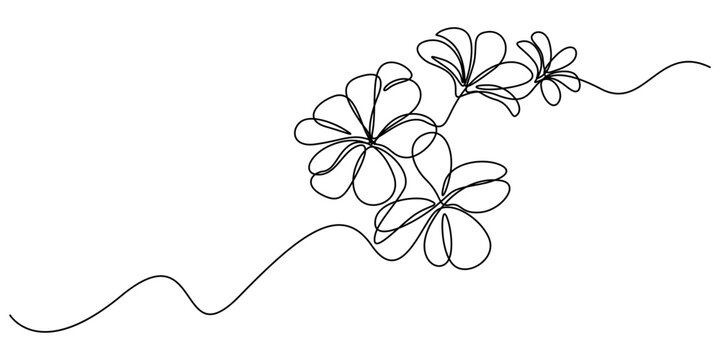 Plumeria flowers in continuous line art drawing style. Minimalist black line sketch on white background, Flower continuous line art drawing. Plumeria one line symbol. Frangipani blossom. Vector illust