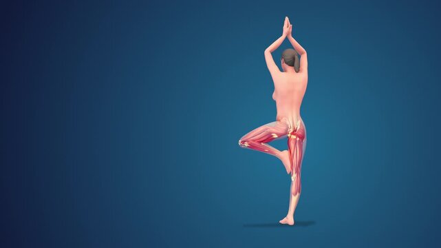 3D human Vrikshasana tree pose with arms elevated yoga pose on blue background, loopable