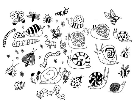 Set of snails and catterpillar in simple line style. Black and white vector collection suitable for coloring pages, kids design, educational materials and prints.