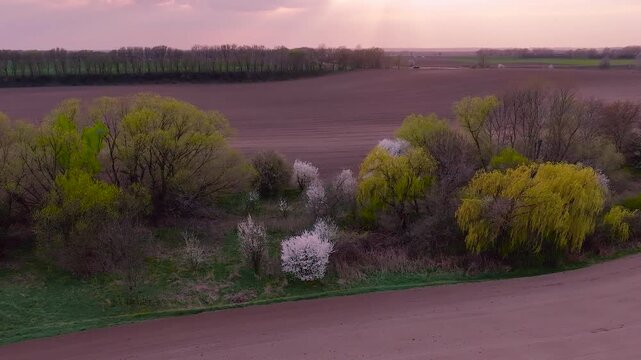 Aerial drone footage pulling back from blooming trees revealing spring countryside landscape
Cinematic drone shot moving backward over flowering vegetation and agricultural fields
