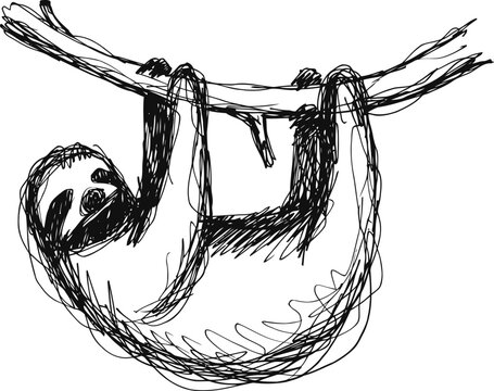 Hand drawn sloth hanging on branch sketch cute lazy animal with slow movements illustration