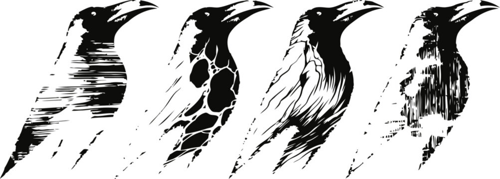 Abstract artistic crow illustrations showing different styles and textures in monochrome