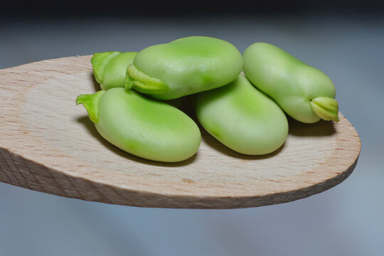 Fresh broad beans, healthy food, healthy vegetables