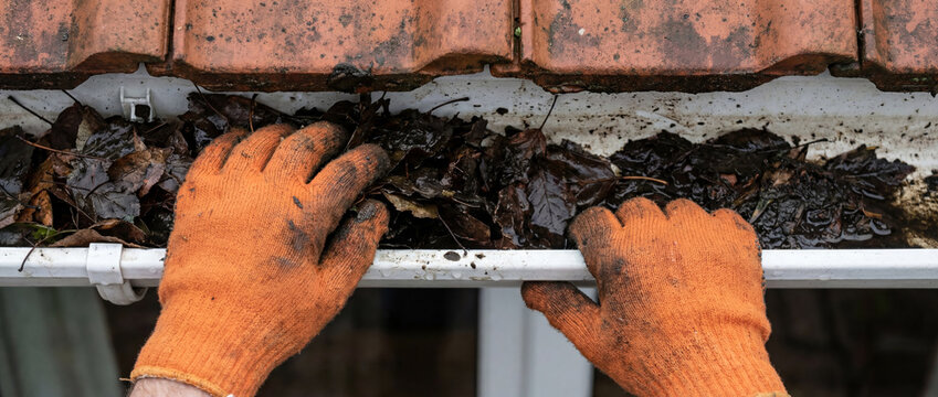 Hands cleaning dirty gutter filled with autumn leaves