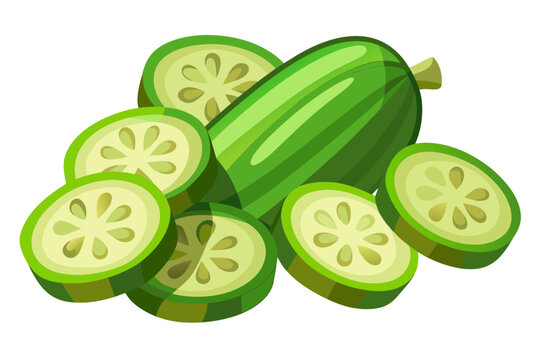 Green cucumber slices with whole cucumber on white background