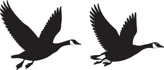 Obraz premium Black Geese Flying on White Background