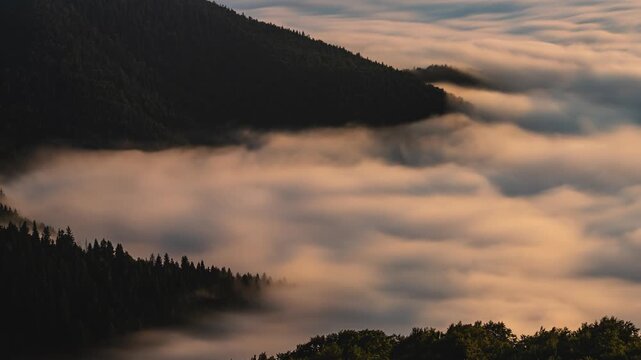 Dreamy Foggy Clouds Flowing Through Forest Valley at Sunrise, Timelapse