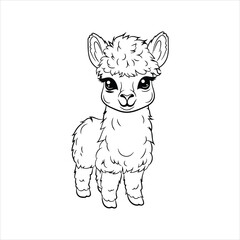 Fototapeta premium Cute Alpaca Line Art Illustration – Hand Drawn llama Animal Outline