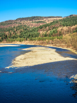 The Poprad River near village Barcice in spring, Poland.