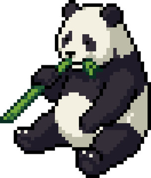 Panda eating bamboo pixel art character isolated on white background