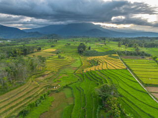 Fototapeta premium Beautiful morning view in Indonesia, panoramic landscape of rice fields with mountain ranges and clear sky