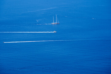 Flowers © Hector Milla