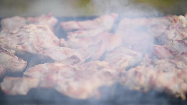 Meat roasting on grill close up, air flickering of heat and a lot of smoke rises carried by breeze