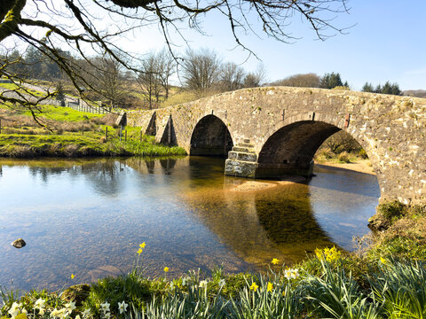 Dartmoor Devon England UK. 20.03.2026. Springtime at Two Bridges  on Dartmoor along the West Dart river  with spring flowers on the riverbank.