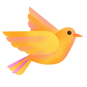Yellow and pink bird