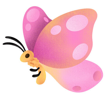Pink and yellow butterfly