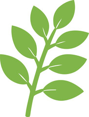 Obraz premium Green leafy branch with multiple leaves. Simple botanical illustration on transparent background