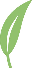 Obraz premium Long slender green leaf illustration with a white central vein. Simple botanical graphic