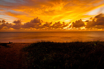 Golden sunset over calm ocean with dramatic clouds and coastal vegetation foreground © Socrates_Soares