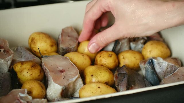 Close up of a female hand carefully arranging small potatoes and raw hake fish steaks in a ceramic baking dish, preparing a delicious and healthy meal for a homemade family dinner
