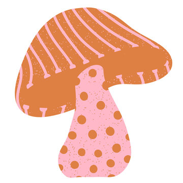 Orange and pink mushroom
