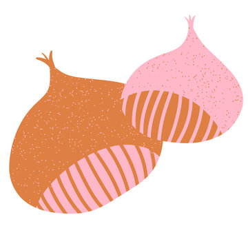 Orange and pink chesnut