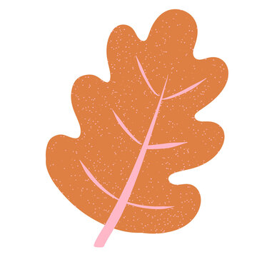 Orange and pink leaf