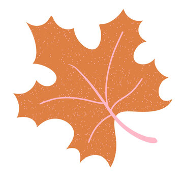 Orange and pink maple leave