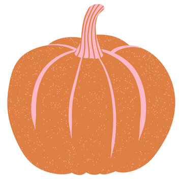 Orange and pink pumpkin