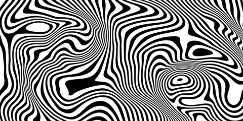 seamless zebra skin texture © Imtiyaz Baba