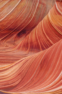 Close-up of the swirling sandstone patterns at The Wave. Beautiful natural orange and red lines created by erosion in the Arizona desert.