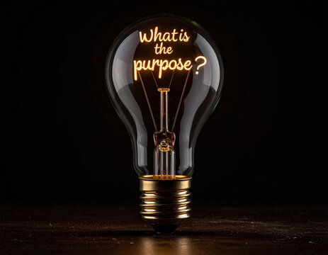 what is the purpose? - Glühbirne mit einem Glühdraht das aussieht wie das Wort "what is the purpose?"