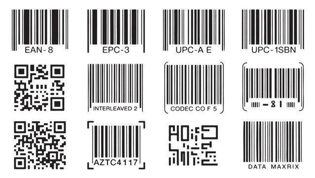 Collection of various barcode and qr code types Vector