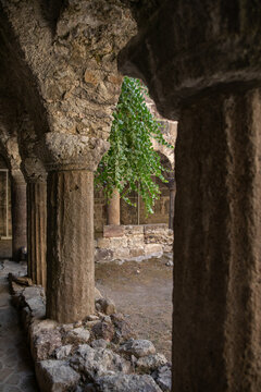 View of ancient stone columns and arches of the Norman Cloister with a green plant hanging in the courtyard Lipari, Sicily, Italy.