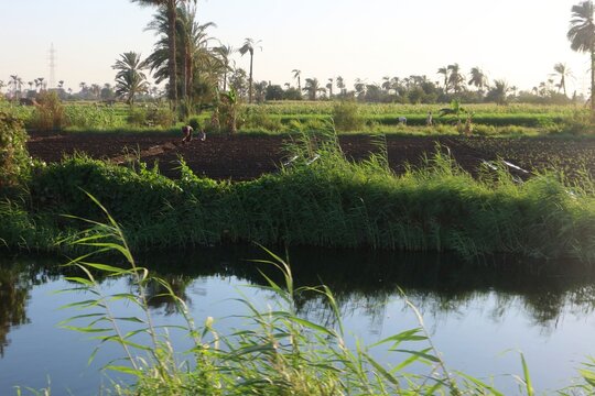 Beautiful water ponds amid greenery and agriculture in Bani Sweif in Egypt 