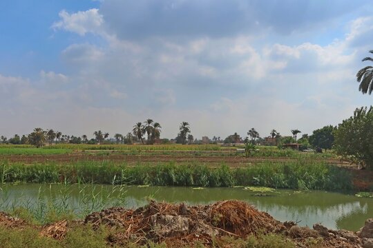 Beautiful water ponds amid greenery and agriculture in Bani Sweif in Egypt 