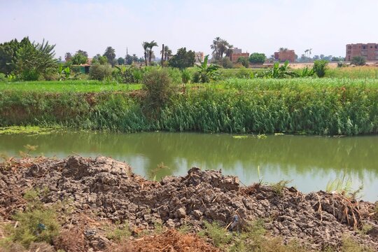 Beautiful water ponds amid greenery and agriculture in Bani Sweif in Egypt 